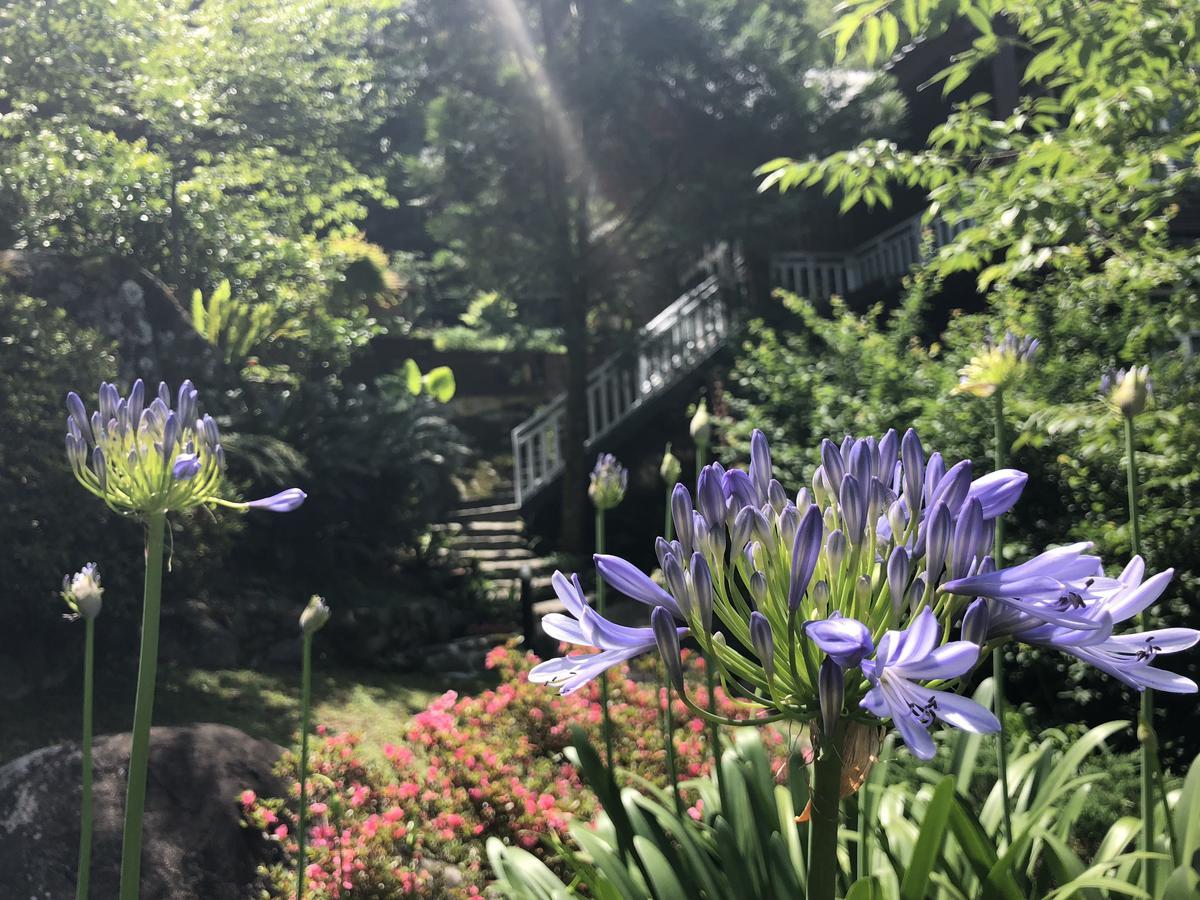福緣山莊 桃園市民宿004號 Hualing Kültér fotó